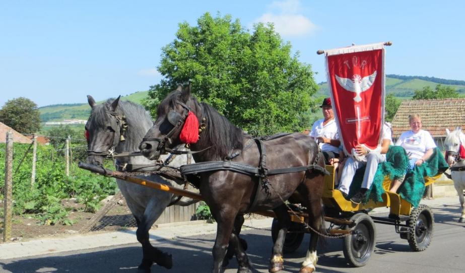 „A viharra a fa gyökereivel válaszol” „A viharra a fa gyökereivel válaszol”
