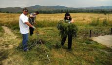 Rendeznivaló bőven akadt...