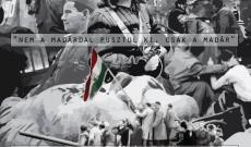 1956_Ausztriai Magyar Pedagógusok Egyesülete