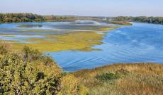 Biciklis túra a Tisza-tó körül