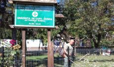 fűnyírás az udvaron