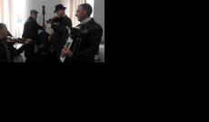 Vicei Hagyományőrző Zenészek