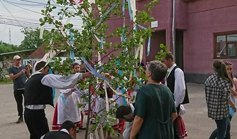 Májusfa díszítése a május 1-jei ünnepségen